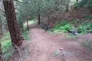 IMG_0377