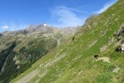 IMG_0026