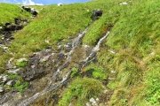 IMG_0085