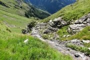 IMG_0089