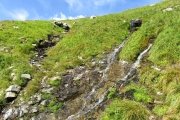 IMG_0090
