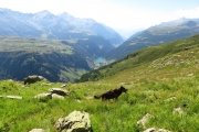 IMG_0099