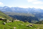 IMG_0101