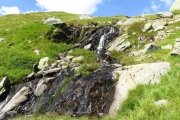 IMG_0104