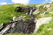 IMG_0106