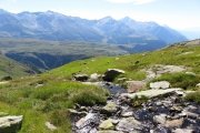 IMG_0111