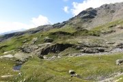 IMG_0116