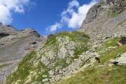 IMG_0118