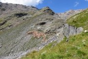 IMG_0128