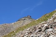 IMG_0185