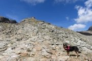 IMG_0189