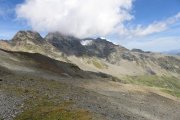IMG_0239