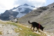 IMG_0250