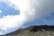 IMG_0264