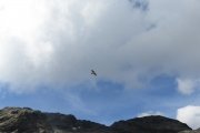 IMG_0265