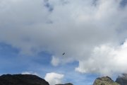 IMG_0266