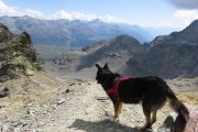 IMG_0271