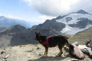 IMG_0277