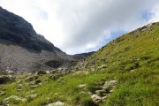 IMG_0334