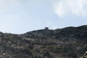 IMG_0337