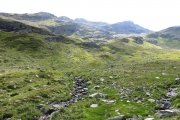 IMG_0351