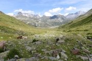 IMG_0354