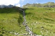 IMG_0355