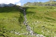 IMG_0357