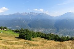 IMG_0005