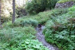 IMG_0006