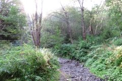IMG_0009