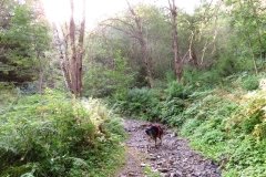 IMG_0012