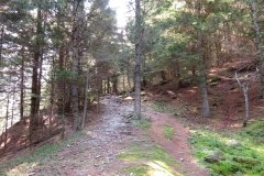 IMG_0018
