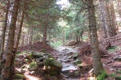 IMG_0023