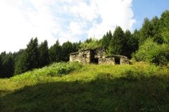 IMG_0031