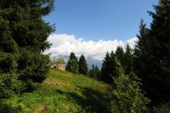 IMG_0041