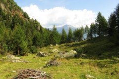 IMG_0066