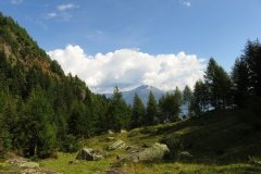 IMG_0068