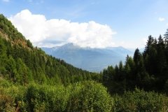 IMG_0075