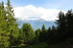 IMG_0079