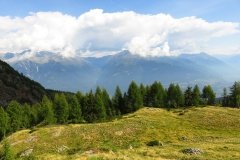 IMG_0087