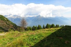 IMG_0090