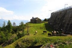 IMG_0093