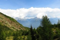 IMG_0094