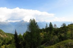 IMG_0096