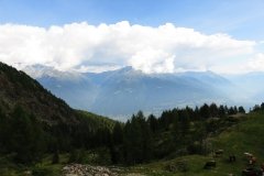 IMG_0097