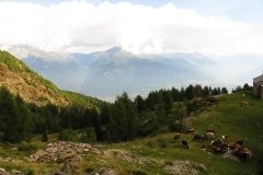 IMG_0112