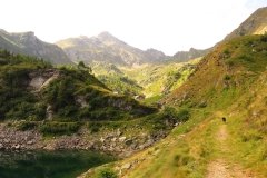 IMG_0116