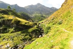IMG_0123