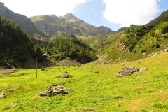 IMG_0137